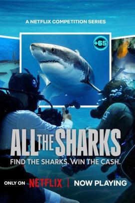 All the Sharks - Staffel 1